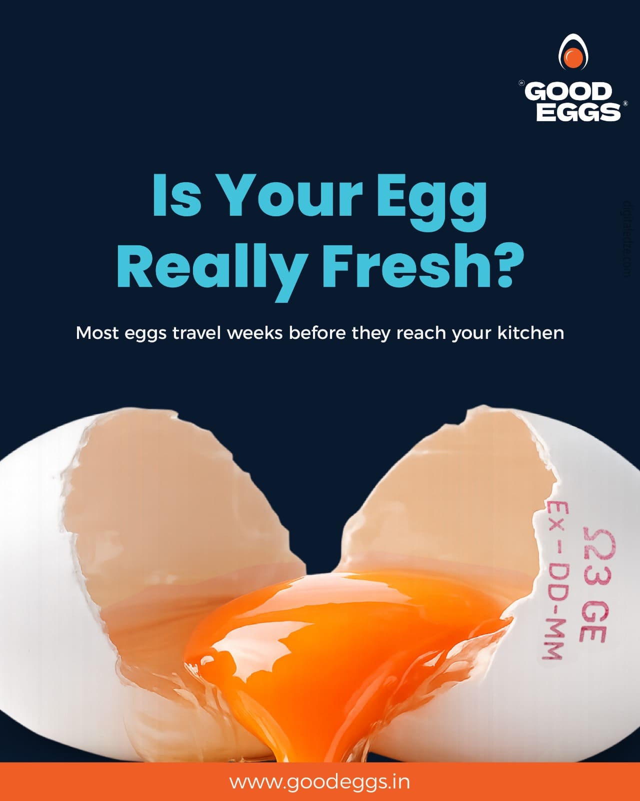 Good Eggs creative 13