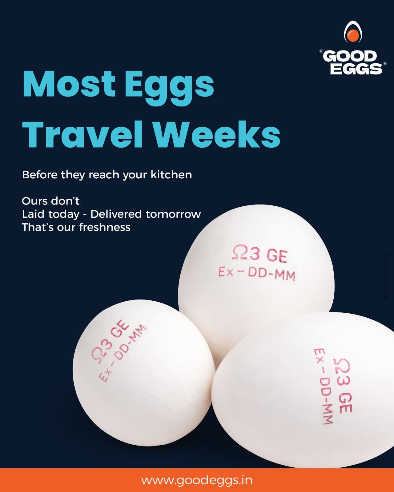 Good Eggs creative 15