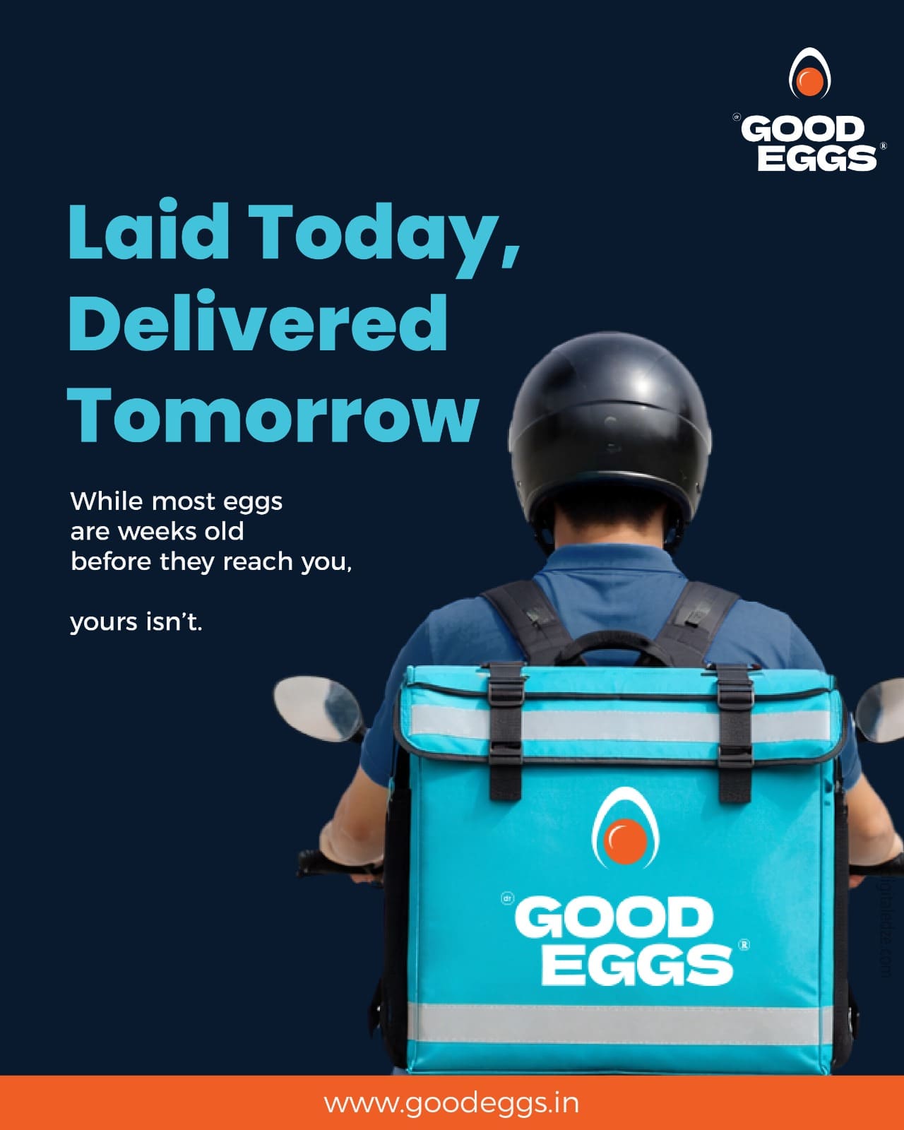 Good Eggs creative 16