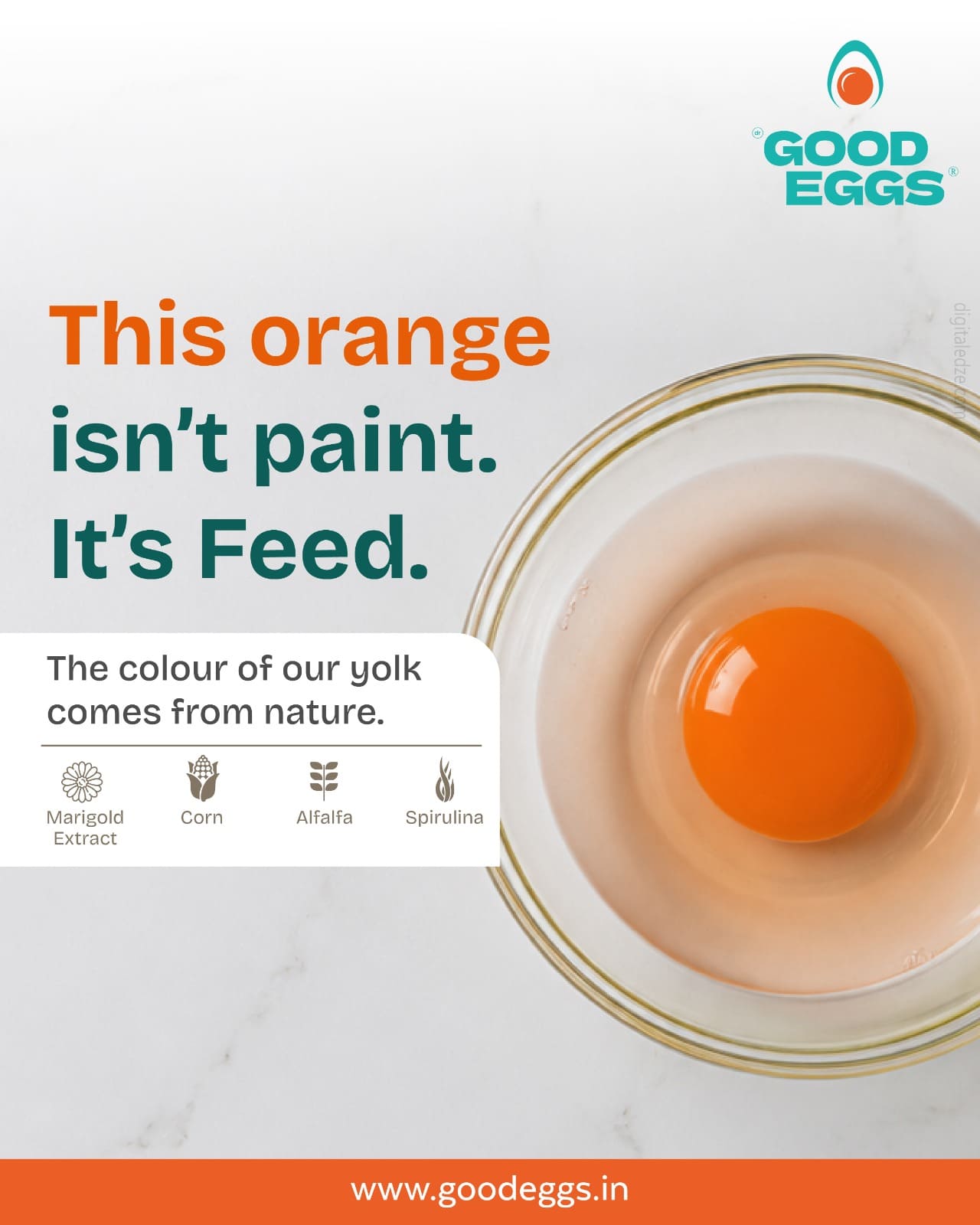 Good Eggs creative 5