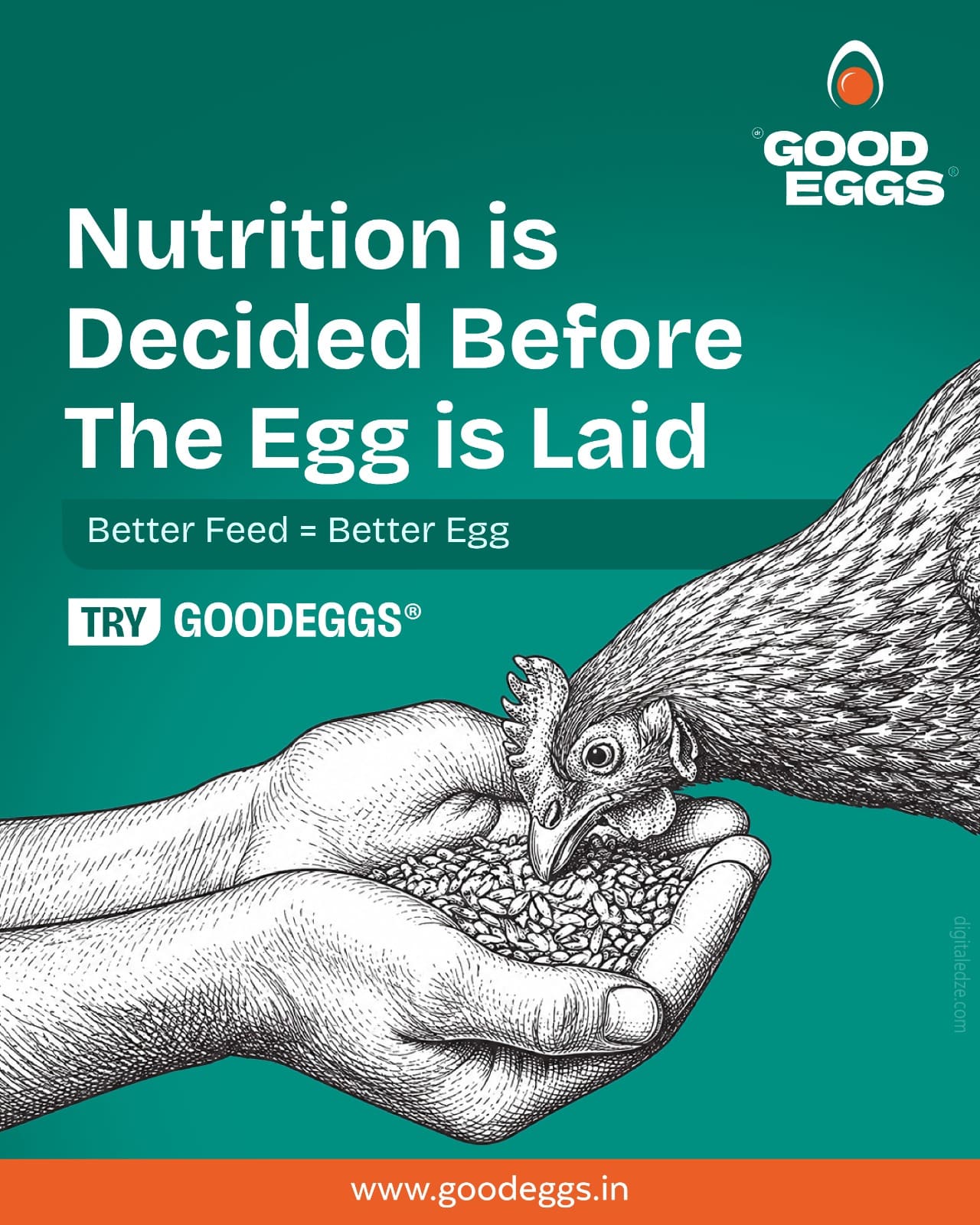Good Eggs creative 9